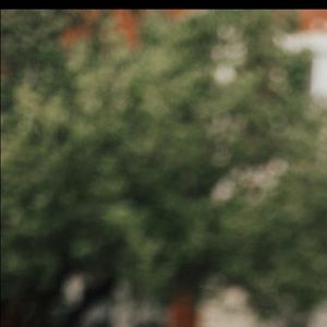 Meet your Posher, Kalli